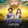 About Bairi Naye Naye (Lofi Version) Song