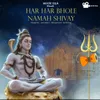 About Har Har Bhole Namah Shivay Song