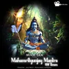 About Mahamritunjay Mantra 108 Times Song