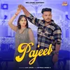 About Pajeeb Song