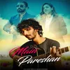 About Main Pareshan Song