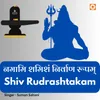 Namami Shamishan Nirvan Roopam - Shiv Rudrashtakam