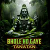 About Bhole Ho Gaye Tanatan Song