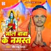 About Bhole Baba Ke Namaste Song