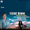 About Tere Bina - Krittika Deb Song