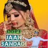 About Lofi Jaan Bandadi Song