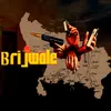 BRIJWALE