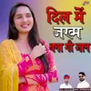 About Dil Mein Zakhm Banaa Gi Jaan Song