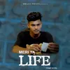 About Meri Ya Life Song