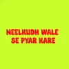 About Neelkudh Wale Se Pyar Kare Song