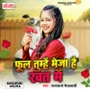 About Fool Tumhe Bheja Hai Khat Mein Song