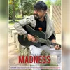 About Madness Song