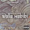 About Walla Habibi Song