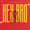 About Hey Bro Song