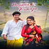 About Diwana Kidinja Song