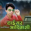 About Taigar Adiwasi Song