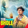 About Teri Mahima Bhole Song