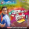 About Shyam Ki Prem Holi Hai Song