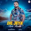 About Dil Jeya Nahi Manda Song