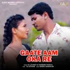 About Gaate Aam Oka Re Song