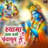 About Shyama Aan Baso Vrindavan Me Song