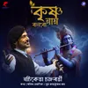 About Krishna Naam Bolbo Song