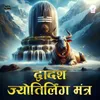 About Dwadas Jyotirling Mantra Song