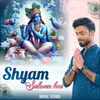 About Shyam Salona Hai Song