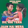 About Dil Hai Tera Jaan Hai Mera Song