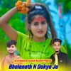 About Bholanath N Dokya Ja Song