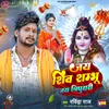 About Jay Shiv Shambhu Jay Tripurari Song