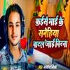 About Kaise Bhai Ke Sanehiya Batal Jai Birna Song