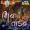 About Shiv Tandav DJ Song