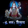 About Om Namah Shivaaye (Raameshwaraaye Shiv) Song