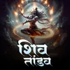 About Shiv Tandav Song