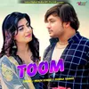 About Toom Song