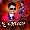 About Tu Chhenapoda Song