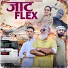 About Jaat Flex Song