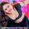 Mahri Koyal Nach Dj P Paleta Todgi