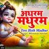 About Adharam Madhuram Tere Hoth Madhur Song