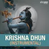 Shri Krishna Govind (Instrumental)