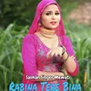 About Rabina Tere Bina Song