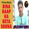 About Bina Baap Ka Beta Soona Song