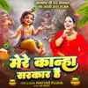 About Mere Kanha Sarkar Hai Song