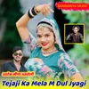 About Tejaji Ka Mela M Dul Jyagi Song