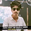 About Tero Mint Me Badlu Seen Song