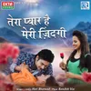 About Tera Pyar Hai Meri Zindagi Song