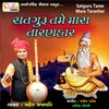 About Satguru Tame Mara Taranhar Song