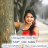 About Chittodgad Me Ghume Mero Song