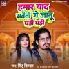 About Hamar Yaad Sataite Ge Janu Ghadi Ghadi Song